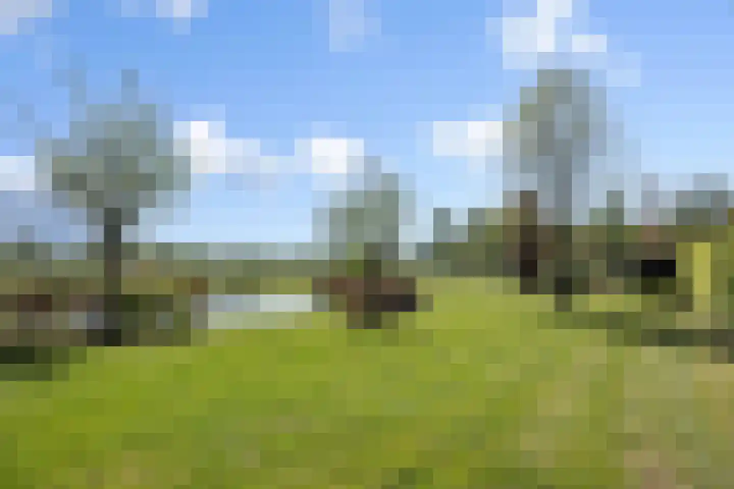 Soemeersingel 67 Helenaveen thumbnail 39