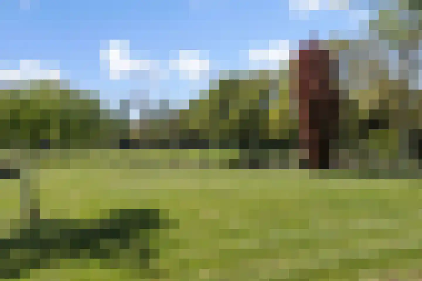 Soemeersingel 67 Helenaveen thumbnail 44