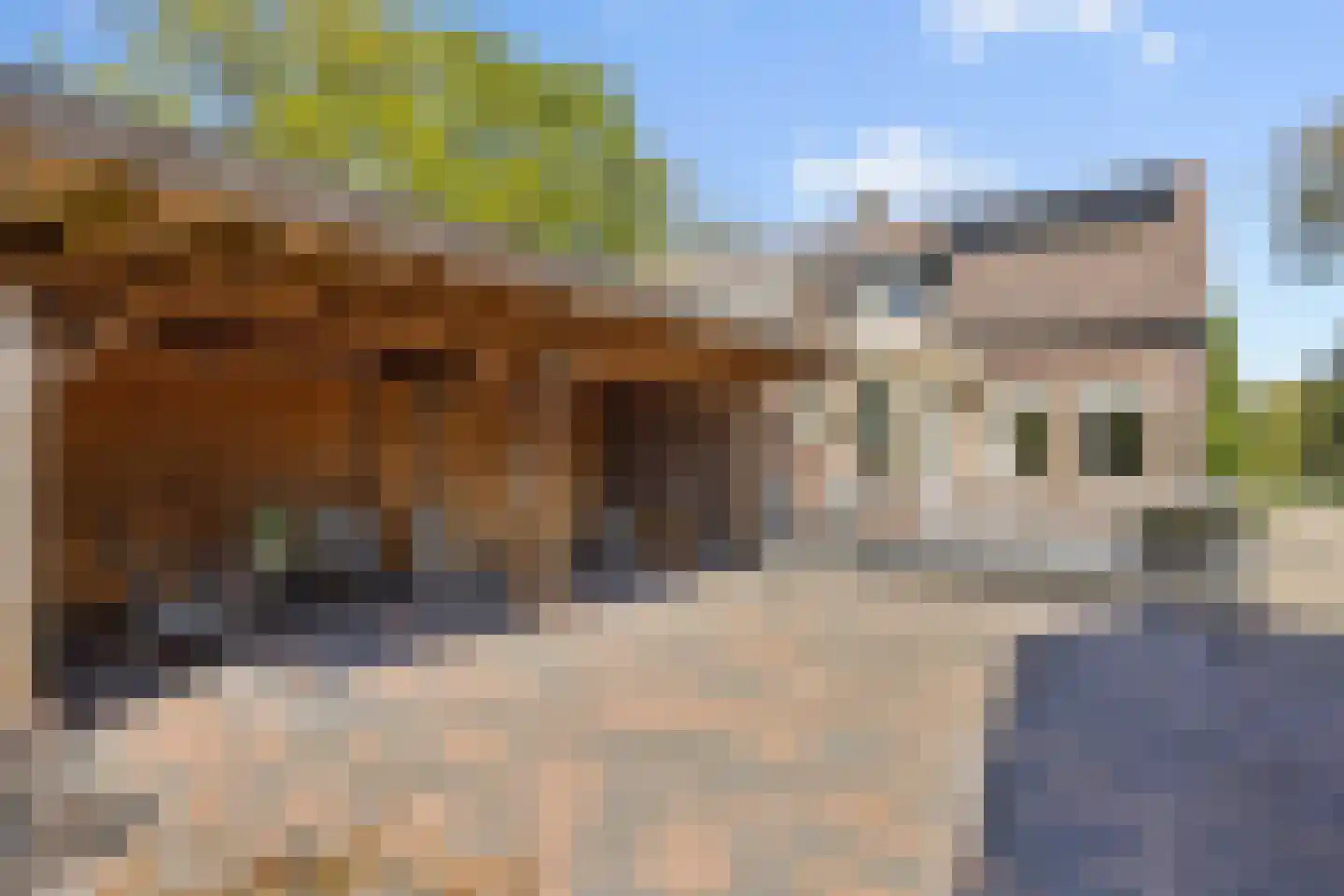 Soemeersingel 67 Helenaveen thumbnail 54