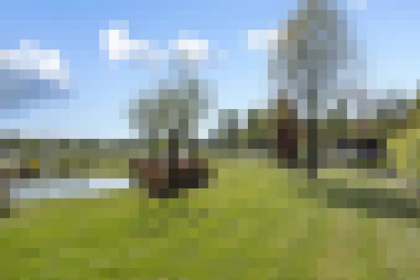 Soemeersingel 67 Helenaveen thumbnail 56