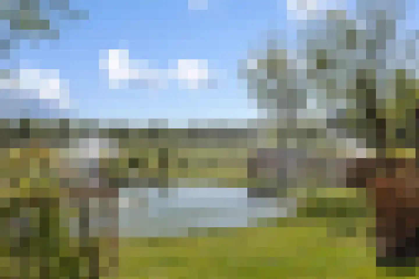 Soemeersingel 67 Helenaveen thumbnail 57