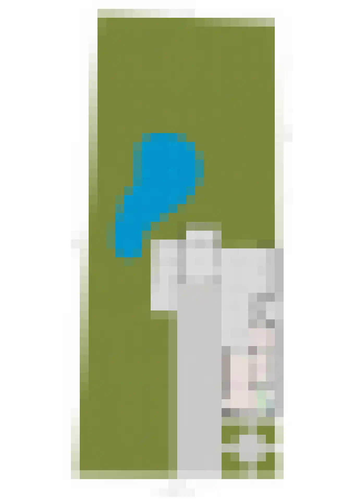 Soemeersingel 67 Helenaveen thumbnail 69