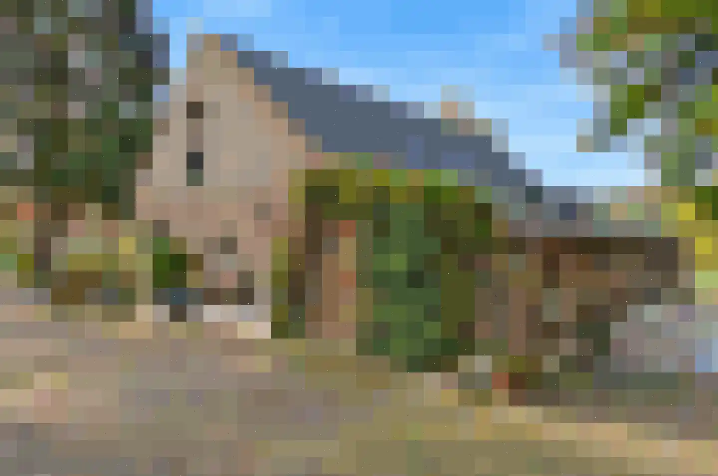 Soemeersingel 75 Helenaveen thumbnail 27