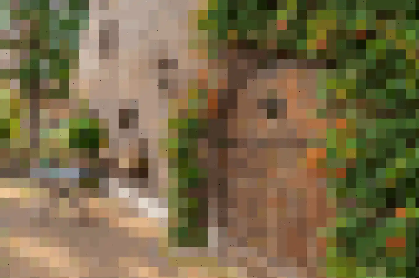 Soemeersingel 75 Helenaveen thumbnail 28