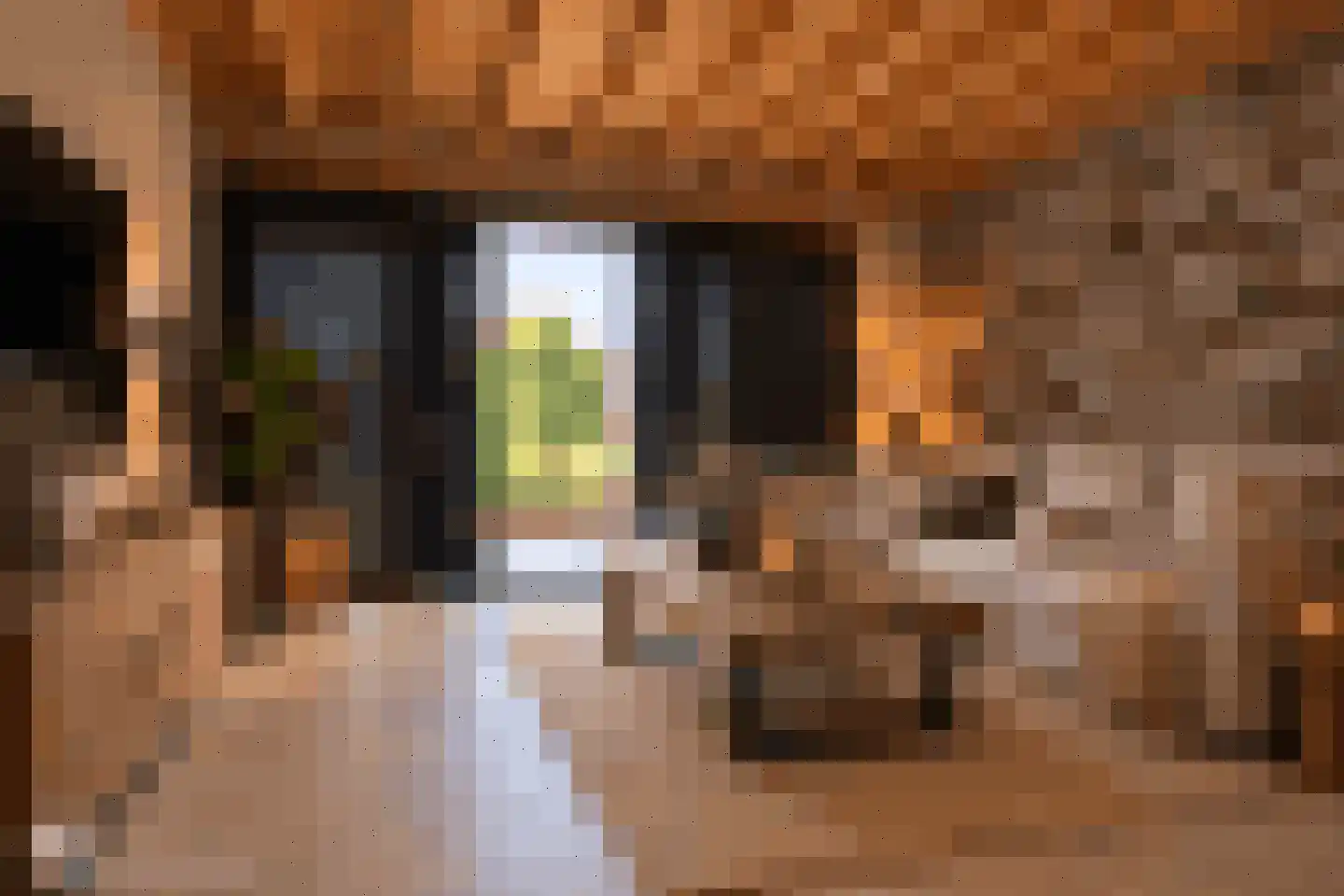 Soemeersingel 75 Helenaveen thumbnail 34
