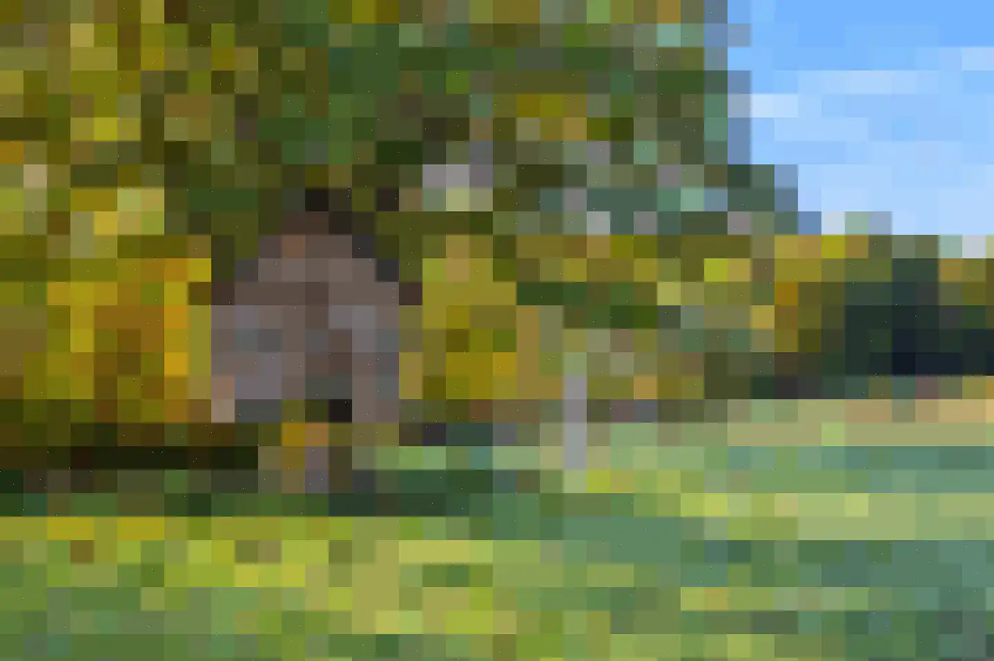 Soemeersingel 75 Helenaveen thumbnail 44