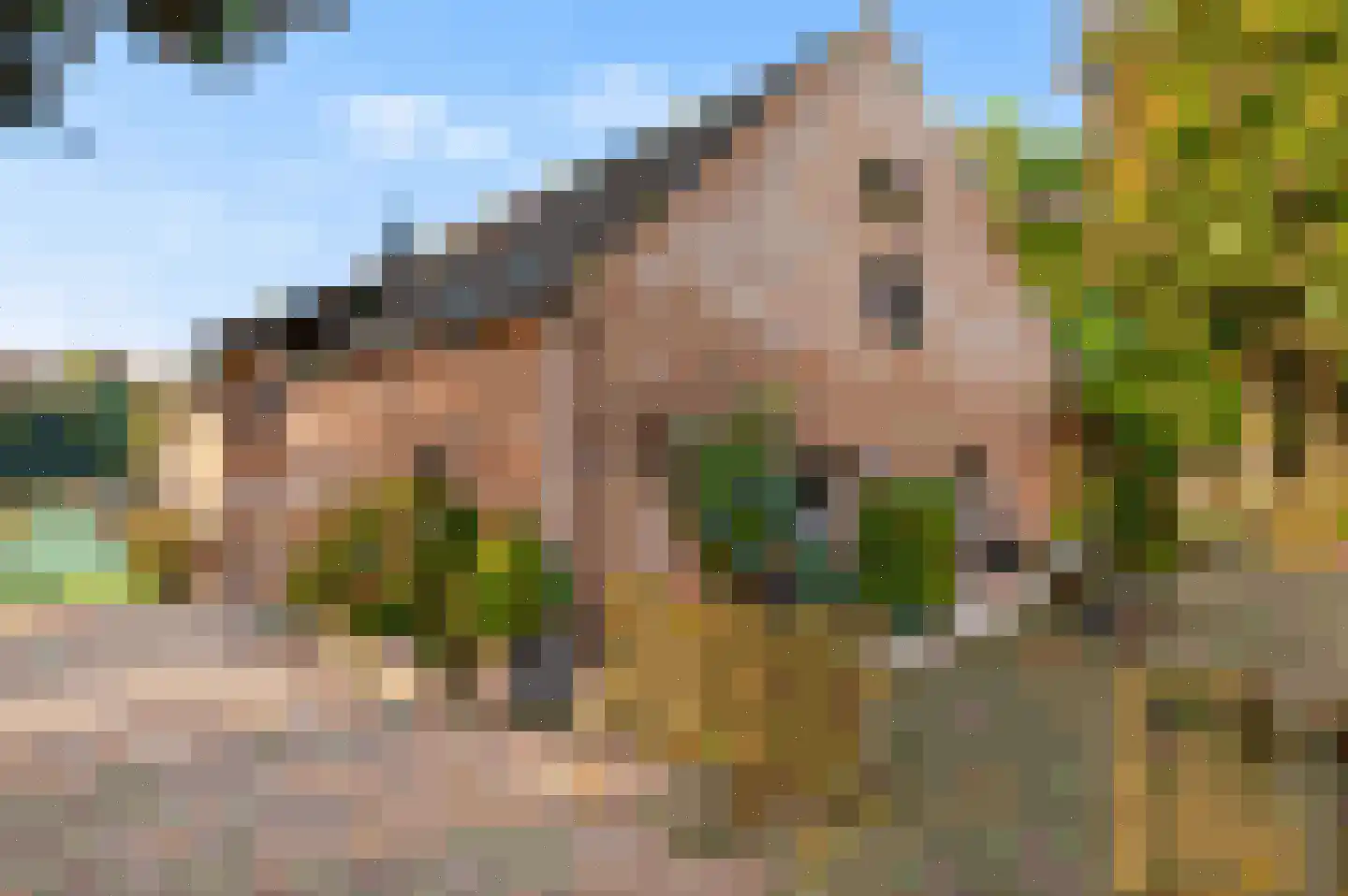 Soemeersingel 75 Helenaveen thumbnail 46