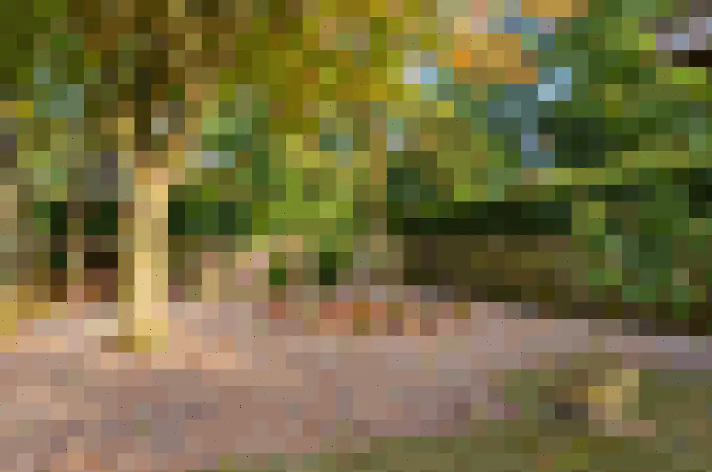 Soemeersingel 75 Helenaveen thumbnail 49