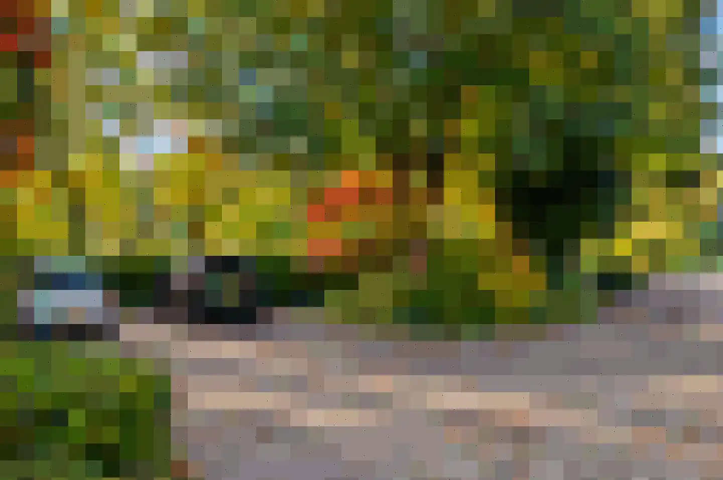 Soemeersingel 75 Helenaveen thumbnail 51