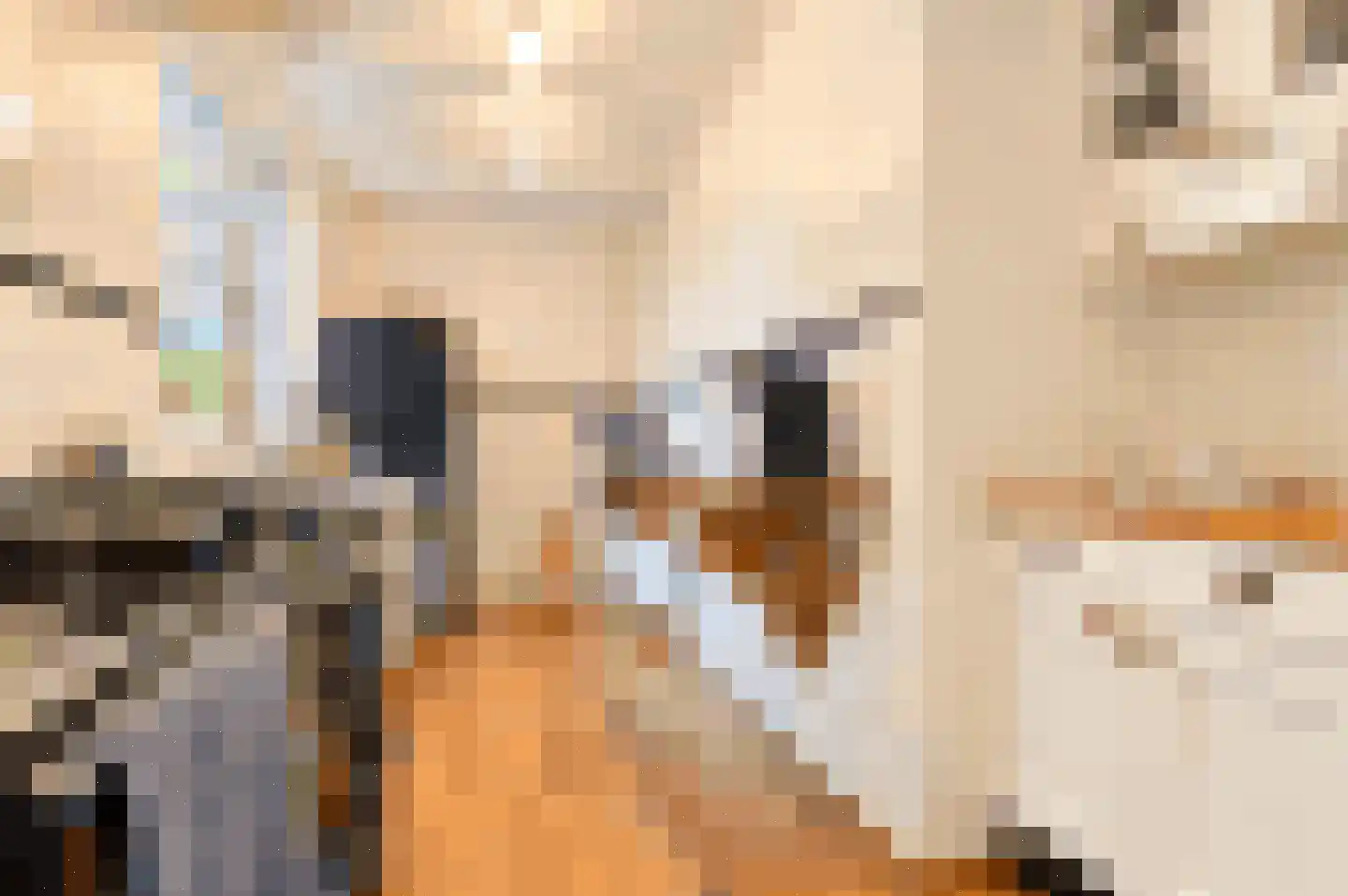 Soemeersingel 75 Helenaveen thumbnail 8