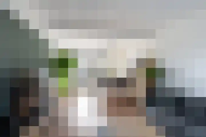 Soendalaan 123 Vlaardingen thumbnail 9