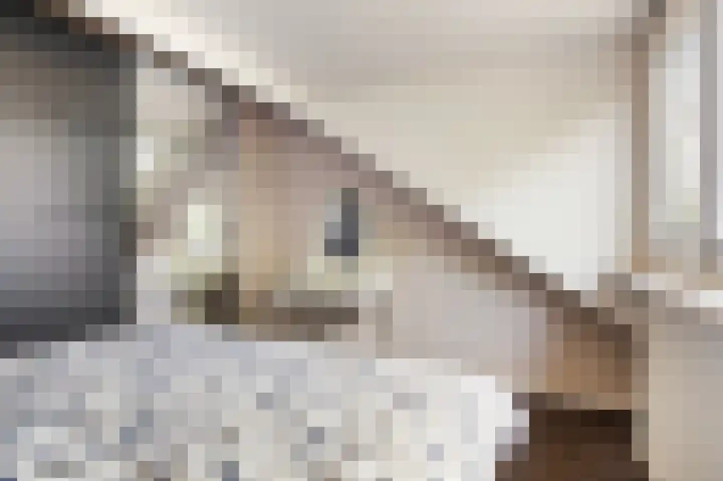 Soendastraat 1 Hengelo thumbnail 33