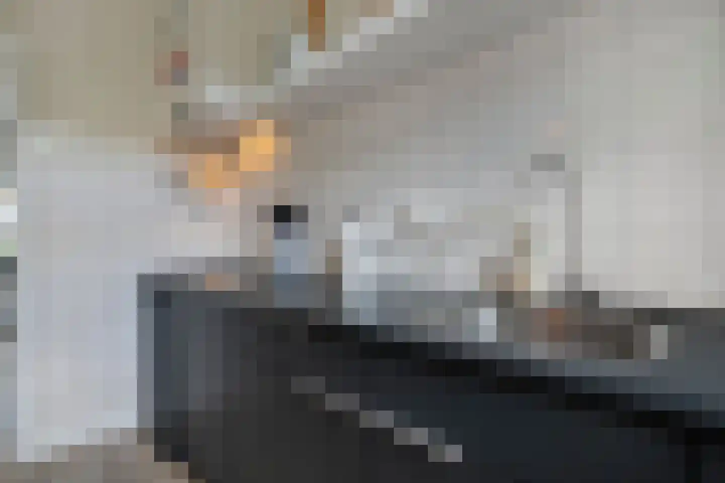 Soendastraat 12 Zwolle thumbnail 11