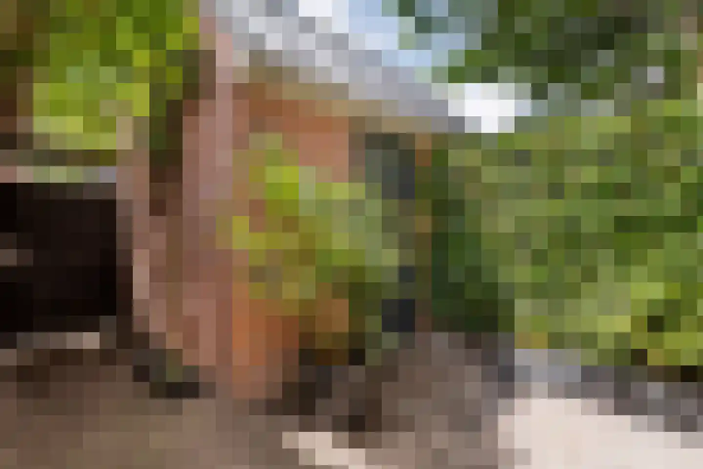 Soendastraat 12 Zwolle thumbnail 25