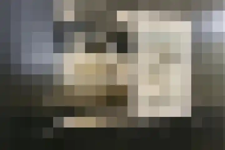 Soendastraat 16 Heemstede thumbnail 11