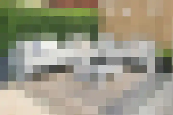 Soendastraat 16 Heemstede thumbnail 21