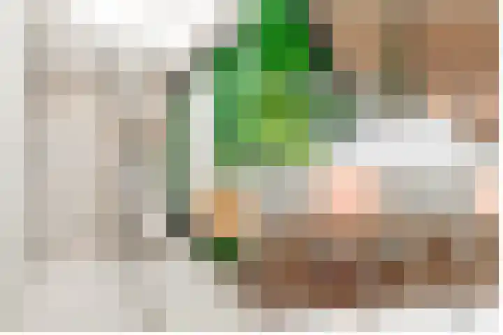Soendastraat 16 Utrecht thumbnail 33