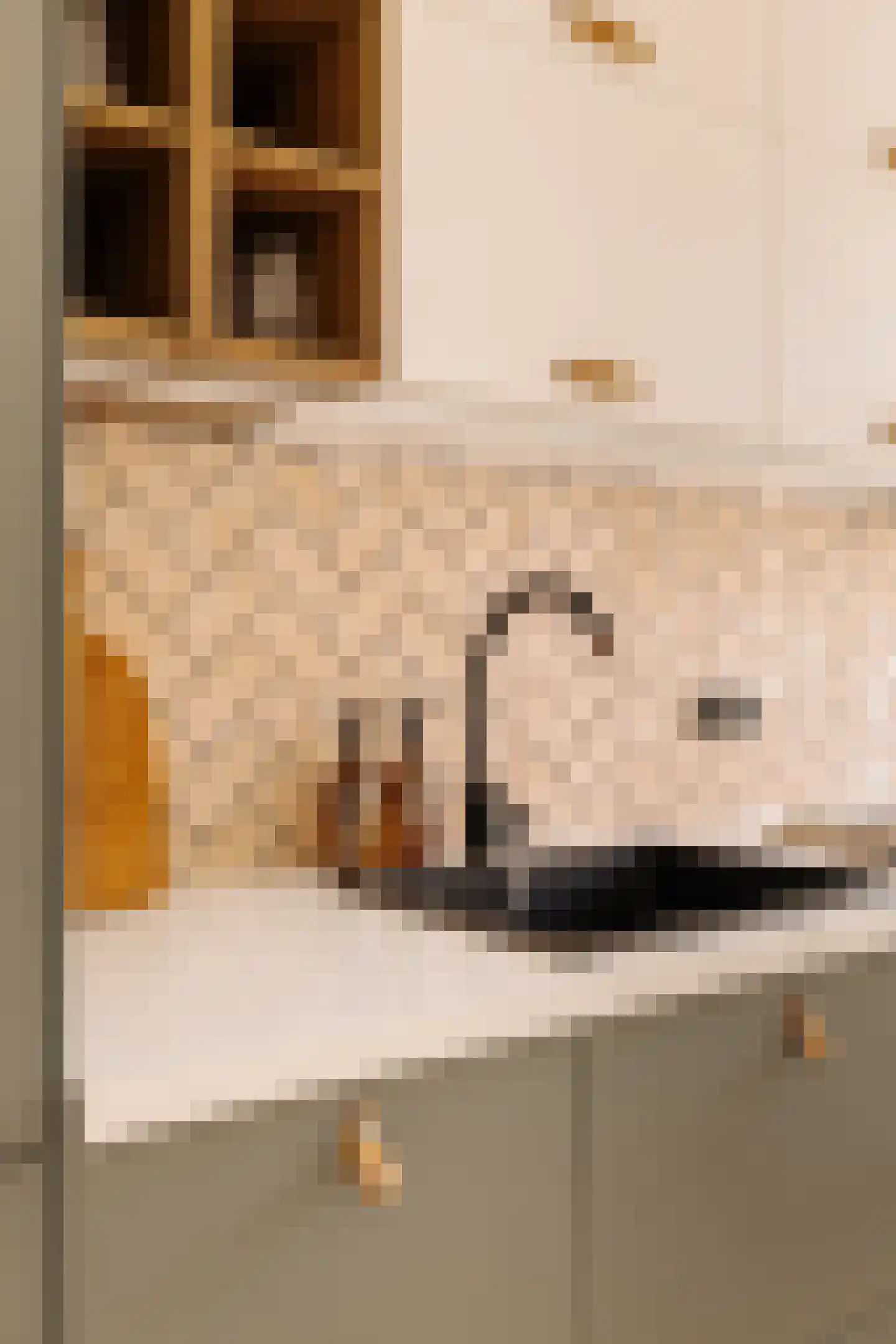 Soendastraat 22 3 Amsterdam thumbnail 15