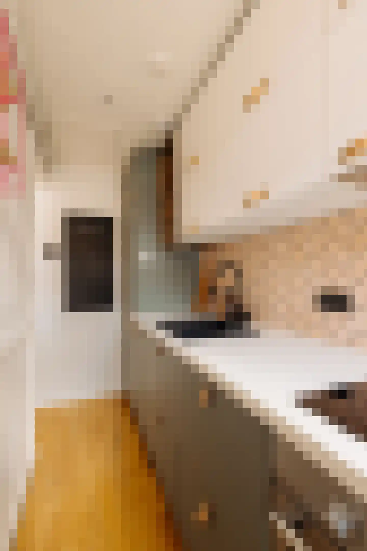 Soendastraat 22 3 Amsterdam thumbnail 16