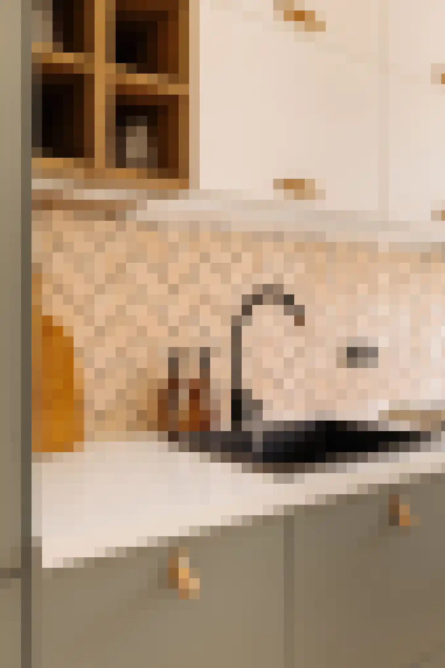 Soendastraat 22 3 Amsterdam thumbnail 16