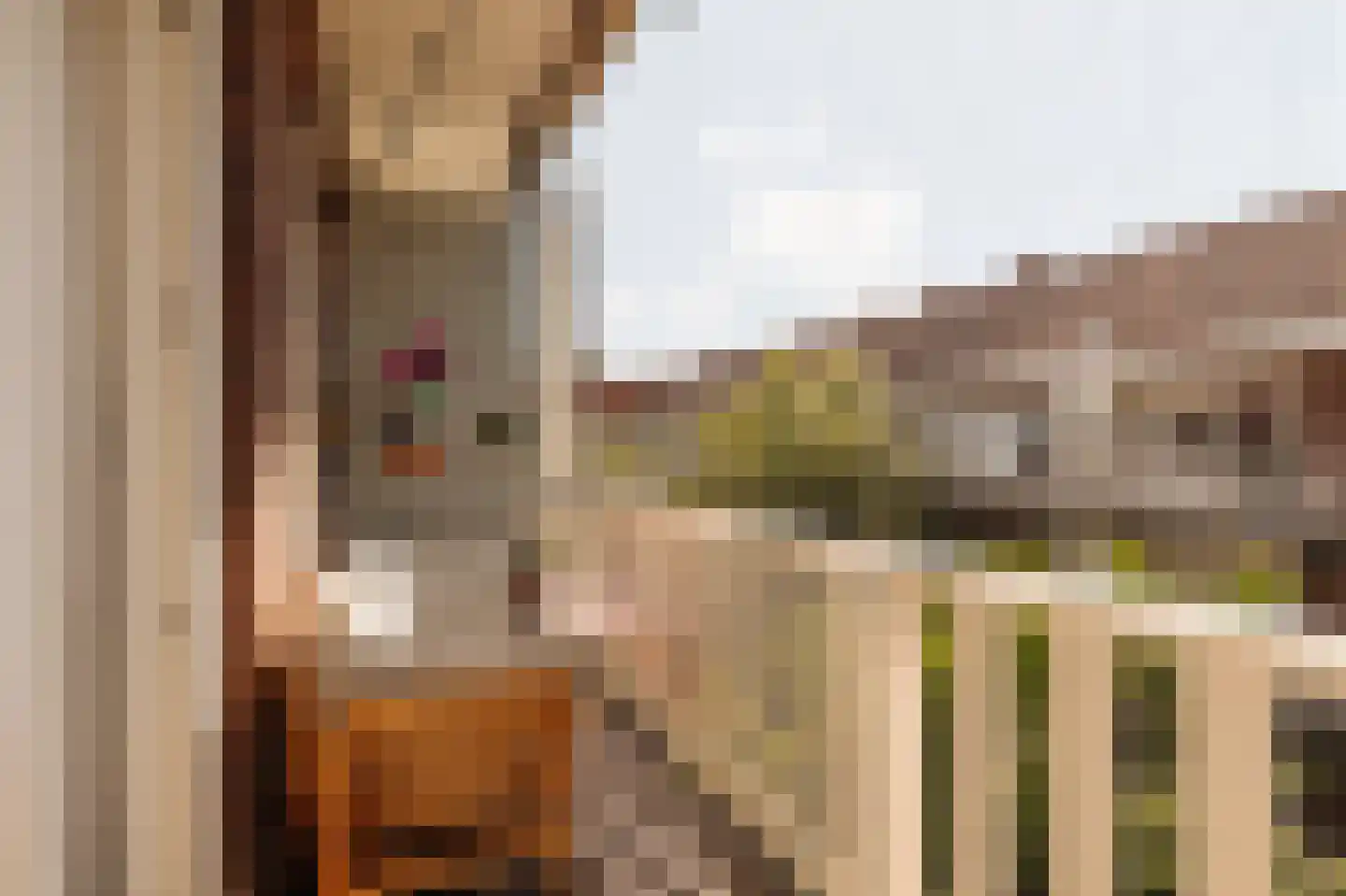Soendastraat 22 3 Amsterdam thumbnail 7