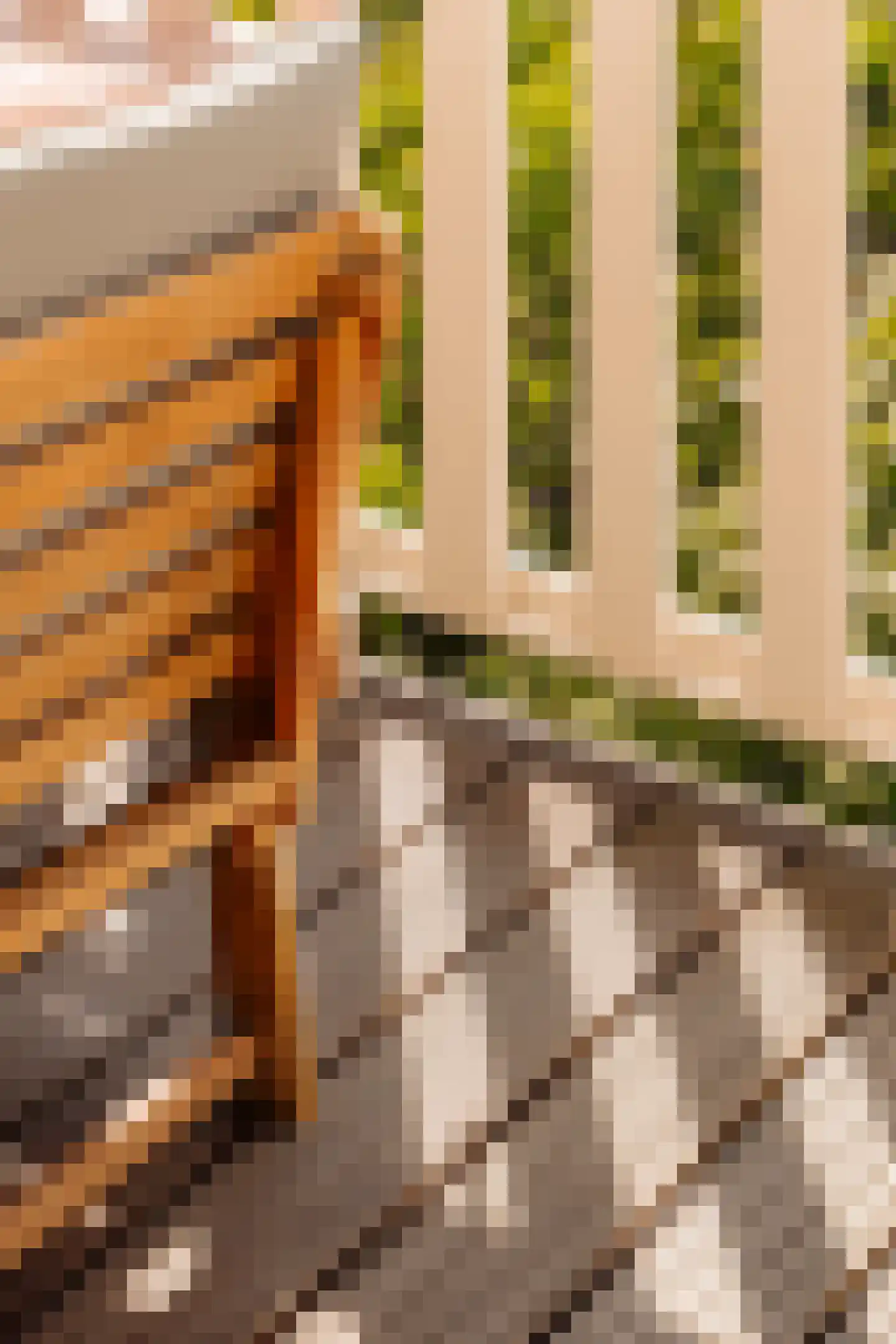 Soendastraat 22 3 Amsterdam thumbnail 8