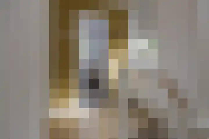 Soendastraat 51 Haarlem thumbnail 36