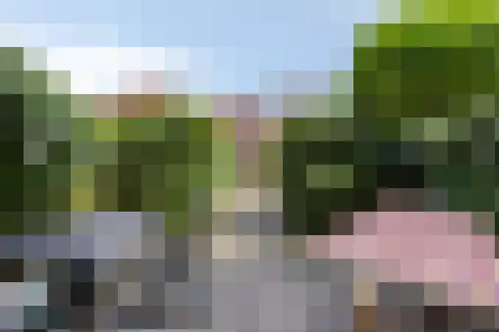 Soendastraat 54 Groningen thumbnail 22
