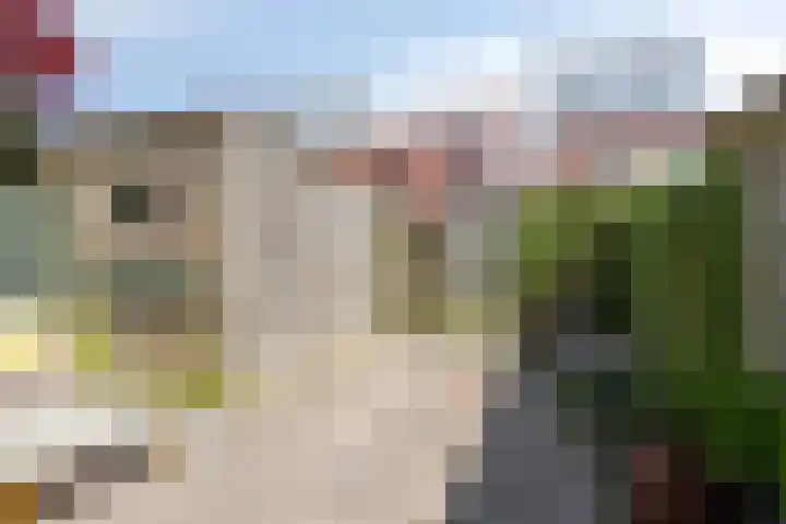 Soendastraat 54 Groningen thumbnail 24