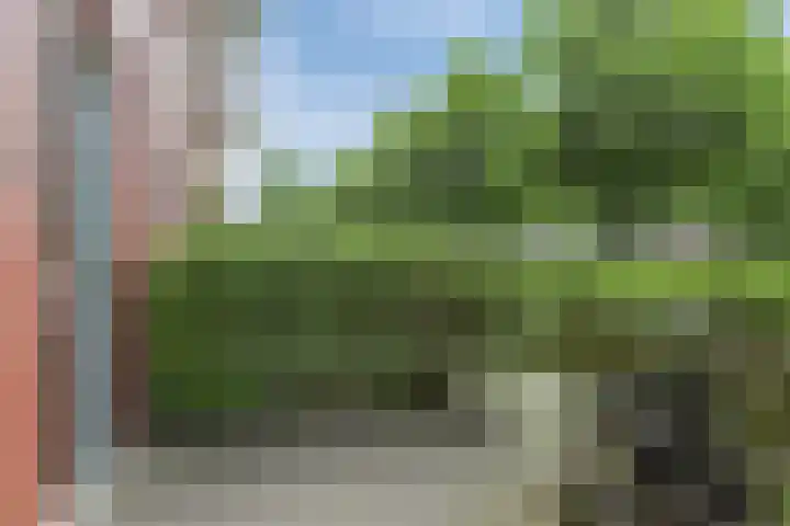 Soendastraat 54 Groningen thumbnail 27