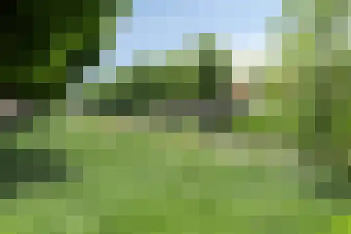 Soendastraat 54 Groningen thumbnail 34