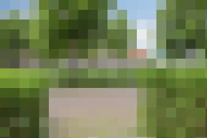 Soendastraat 54 Groningen thumbnail 35