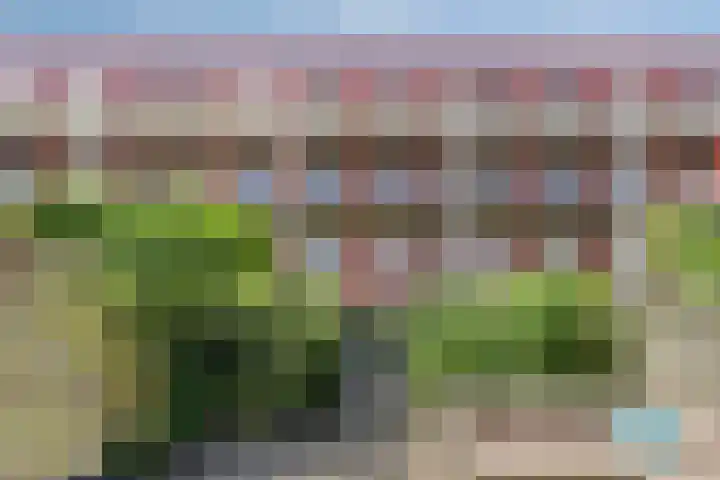 Soendastraat 54 Groningen thumbnail 4