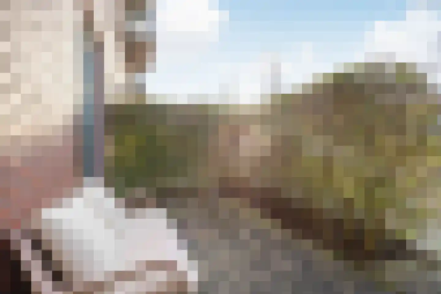 Soendastraat 59 Groningen thumbnail 13