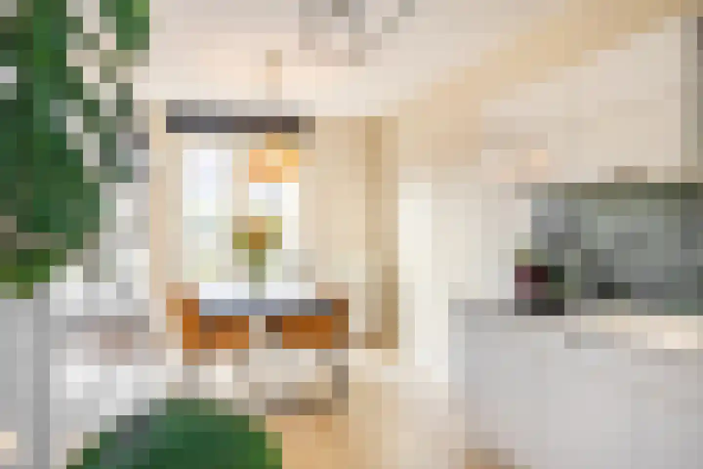 Soendastraat 59 Groningen thumbnail 25