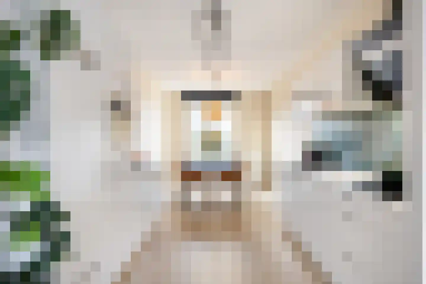 Soendastraat 59 Groningen thumbnail 26