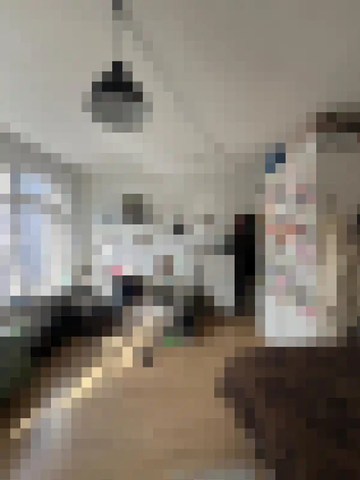 Soephuisstraatje 7 Groningen thumbnail 4