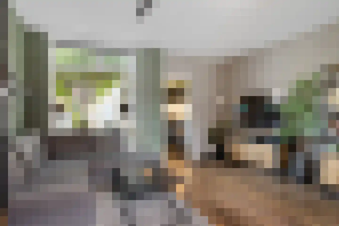 Soerabaiastraat 10 Enschede thumbnail 7