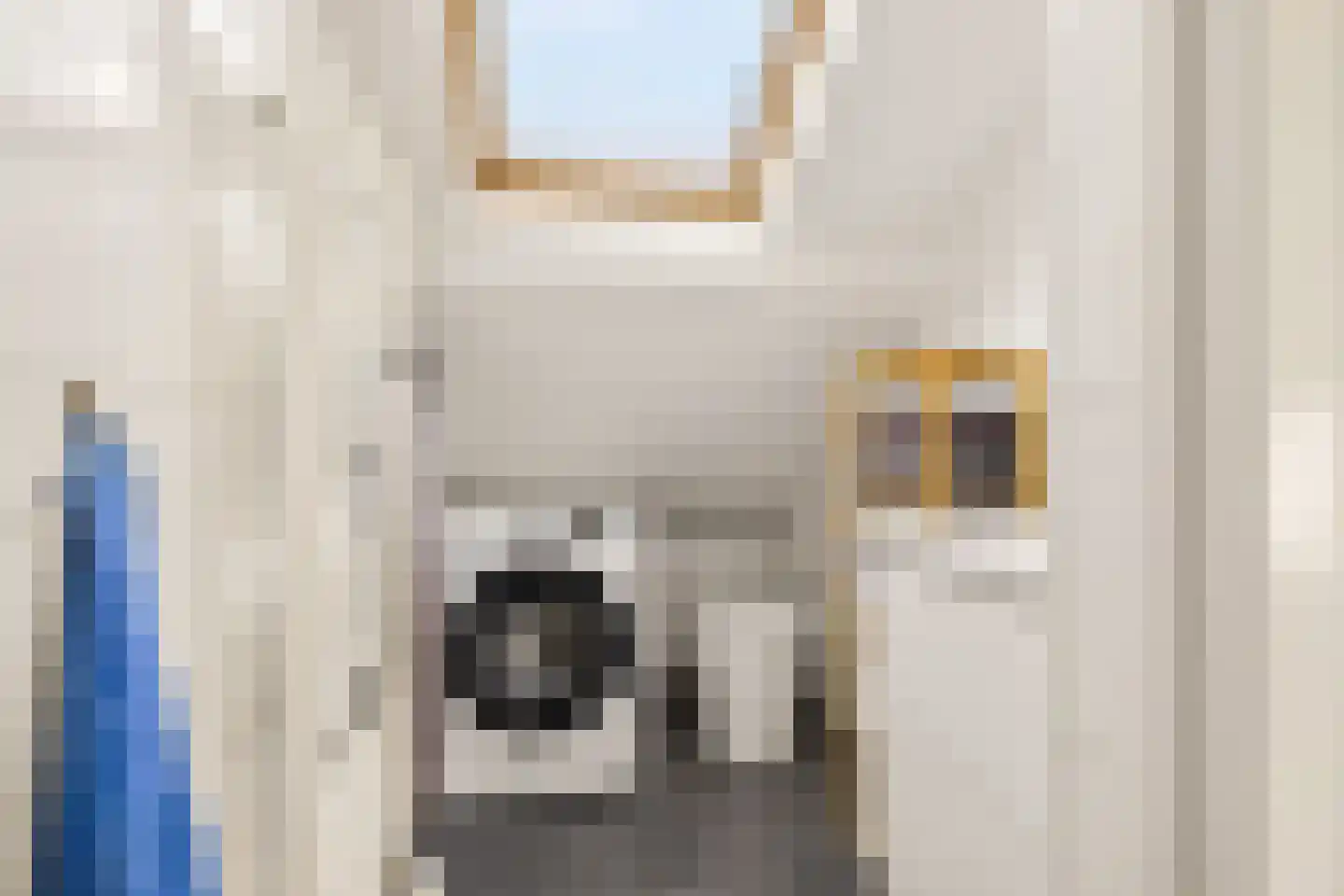 Soerabayastraat 3 A Utrecht thumbnail 21