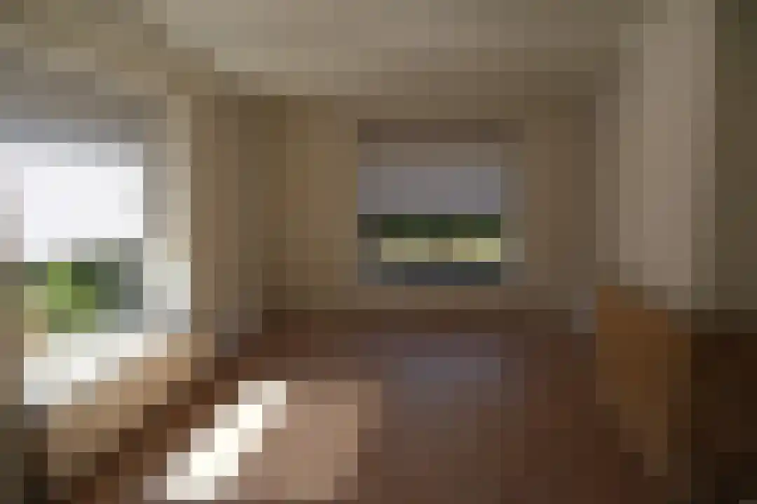 Soerakkerslaan 3 Heeze thumbnail 4