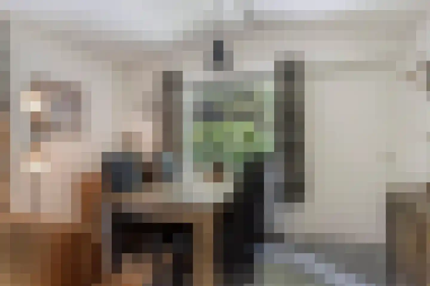 Soerelseweg 18 04 Epe thumbnail 10