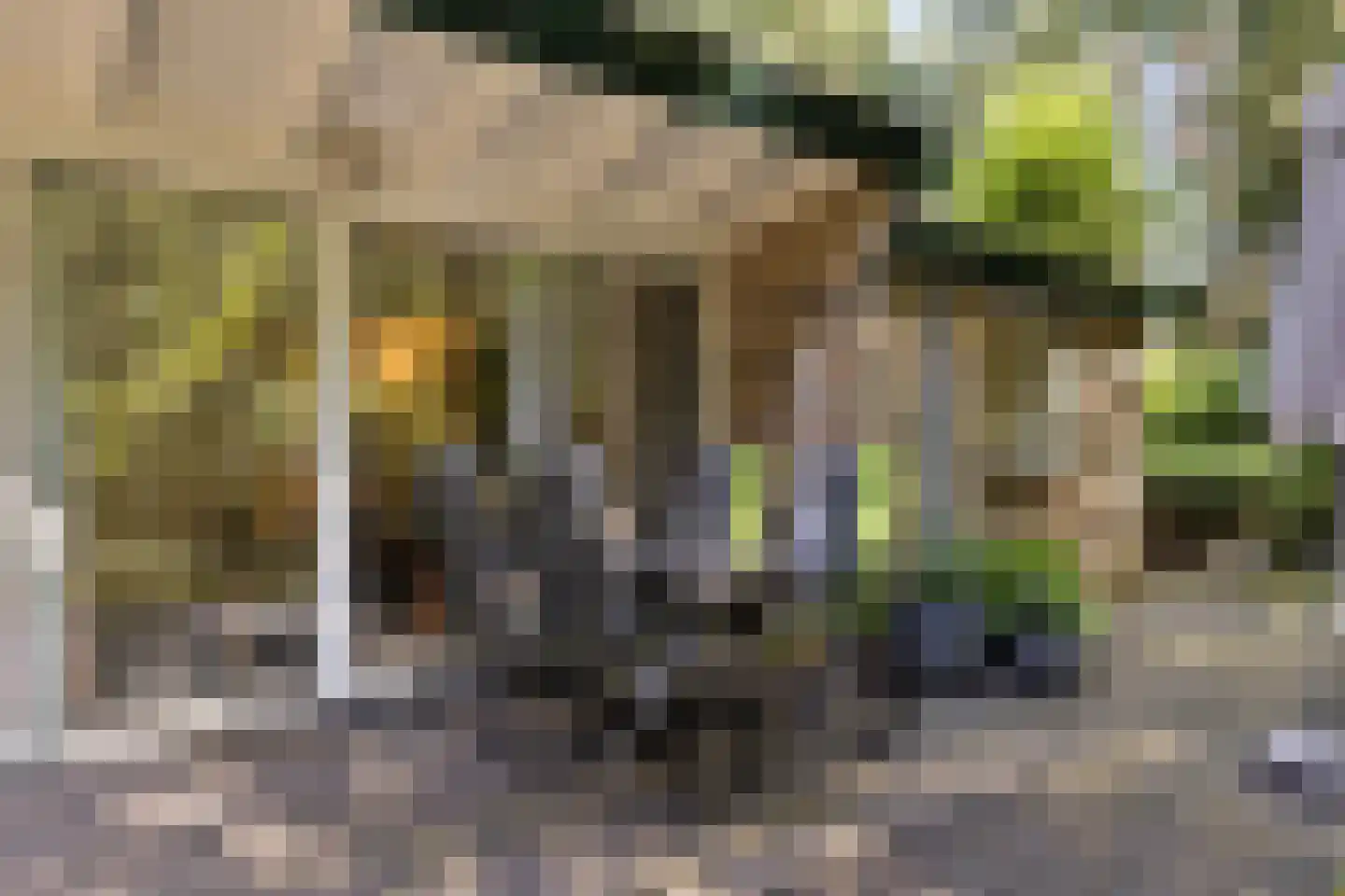 Soerelseweg 18 04 Epe thumbnail 19
