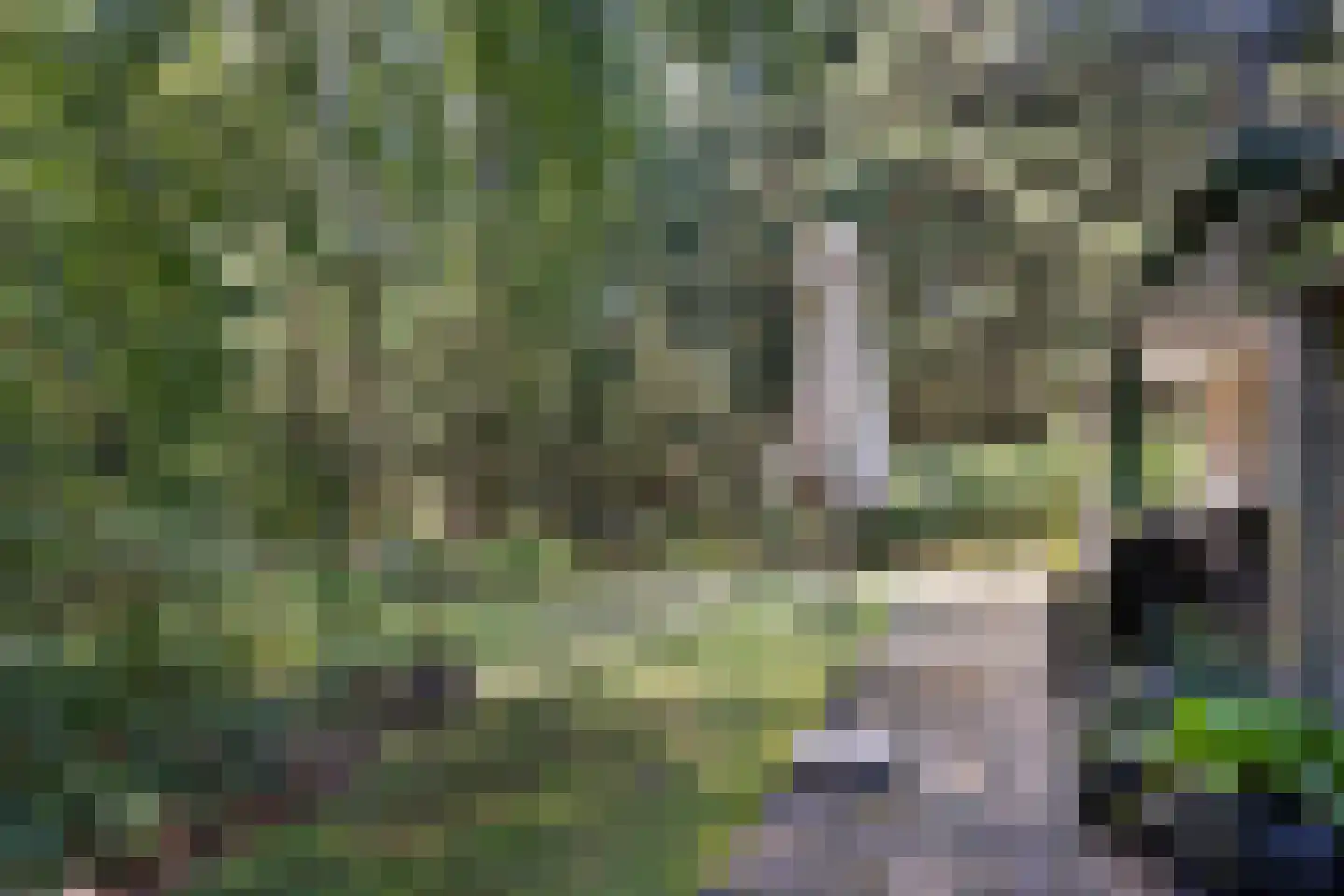 Soerelseweg 18 04 Epe thumbnail 20