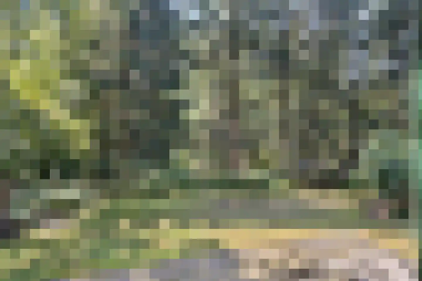 Soerelseweg 18 04 Epe thumbnail 21