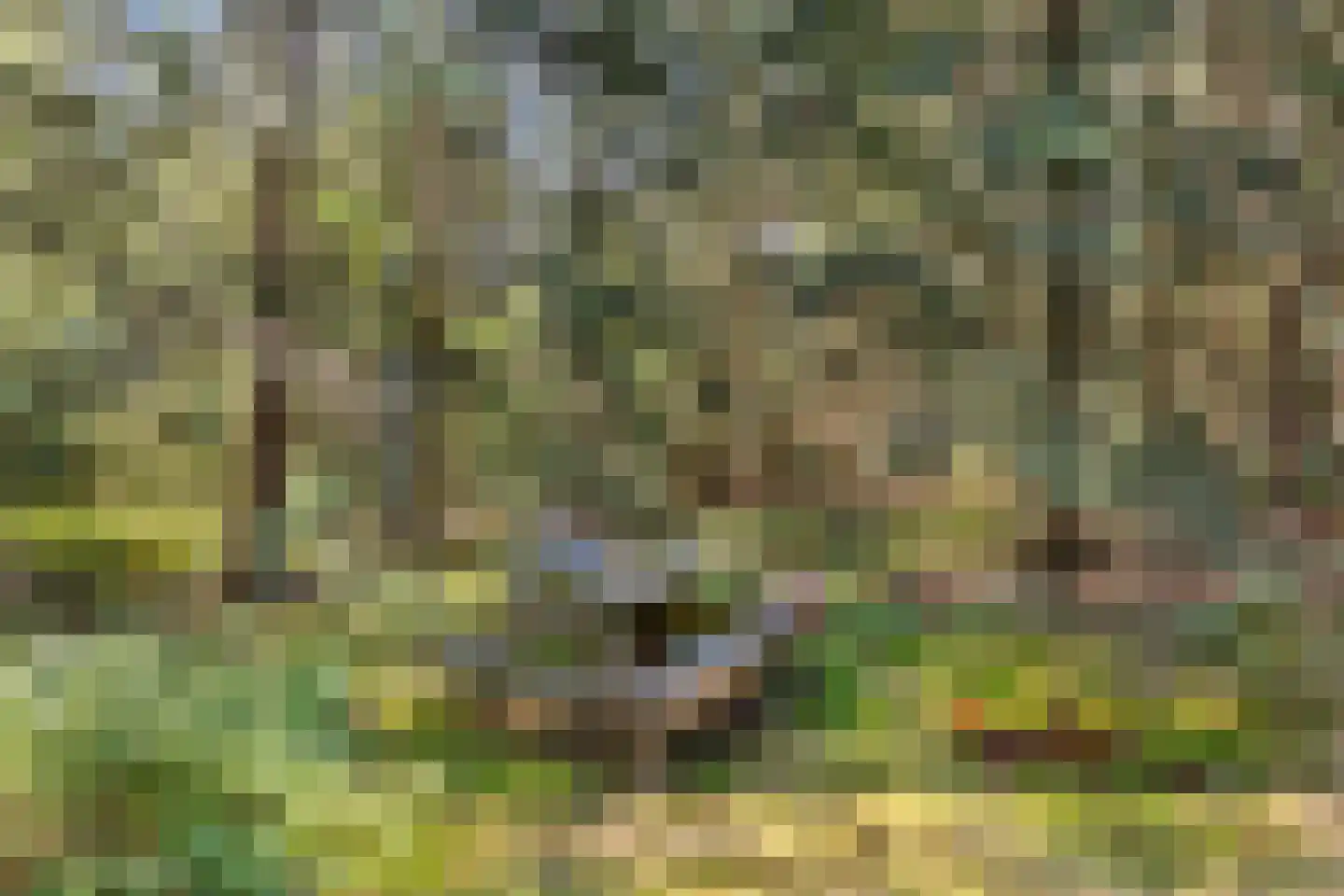 Soerelseweg 18 04 Epe thumbnail 23