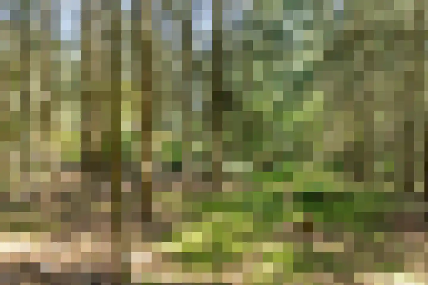 Soerelseweg 18 04 Epe thumbnail 24