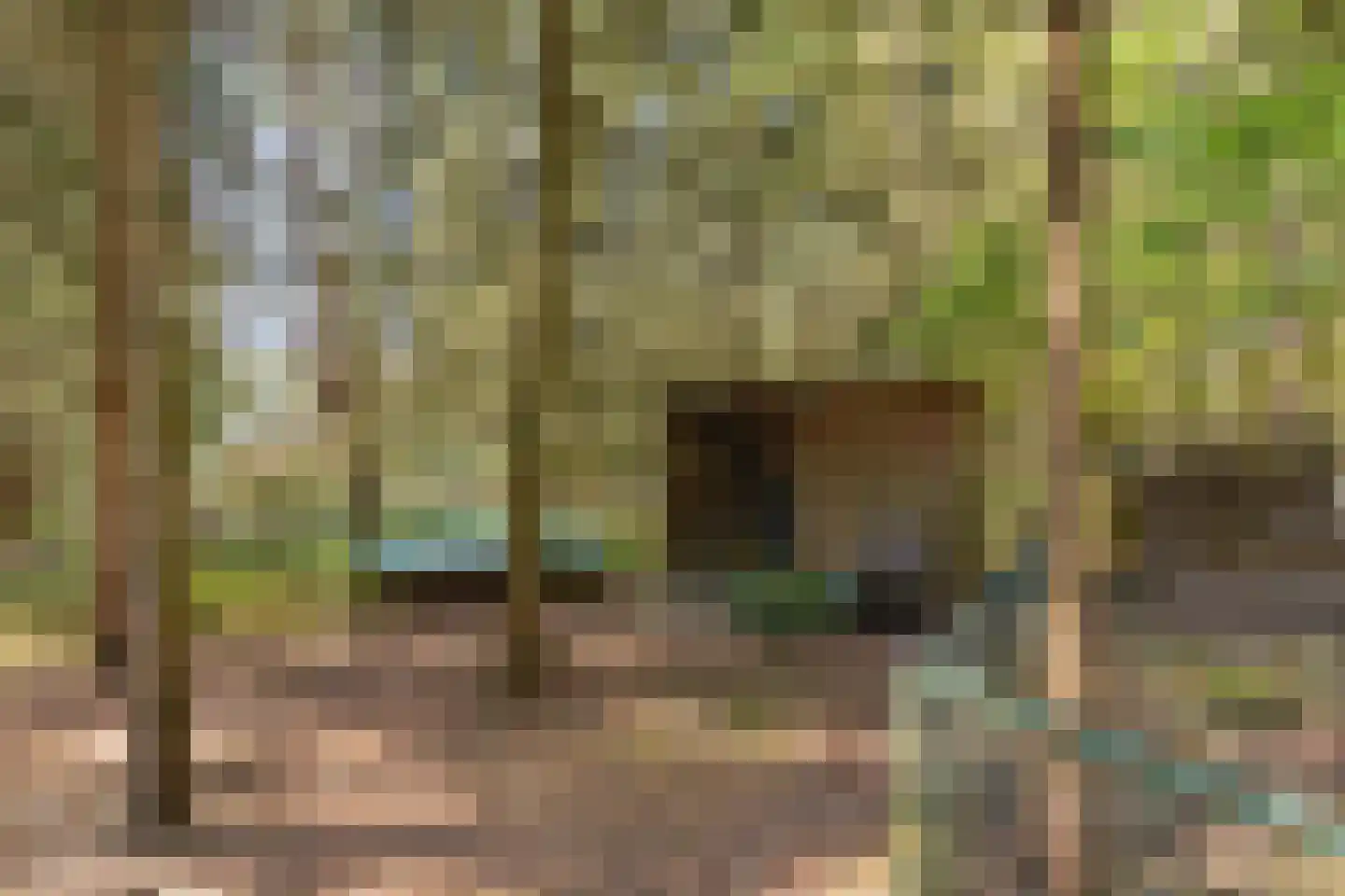 Soerelseweg 18 04 Epe thumbnail 25