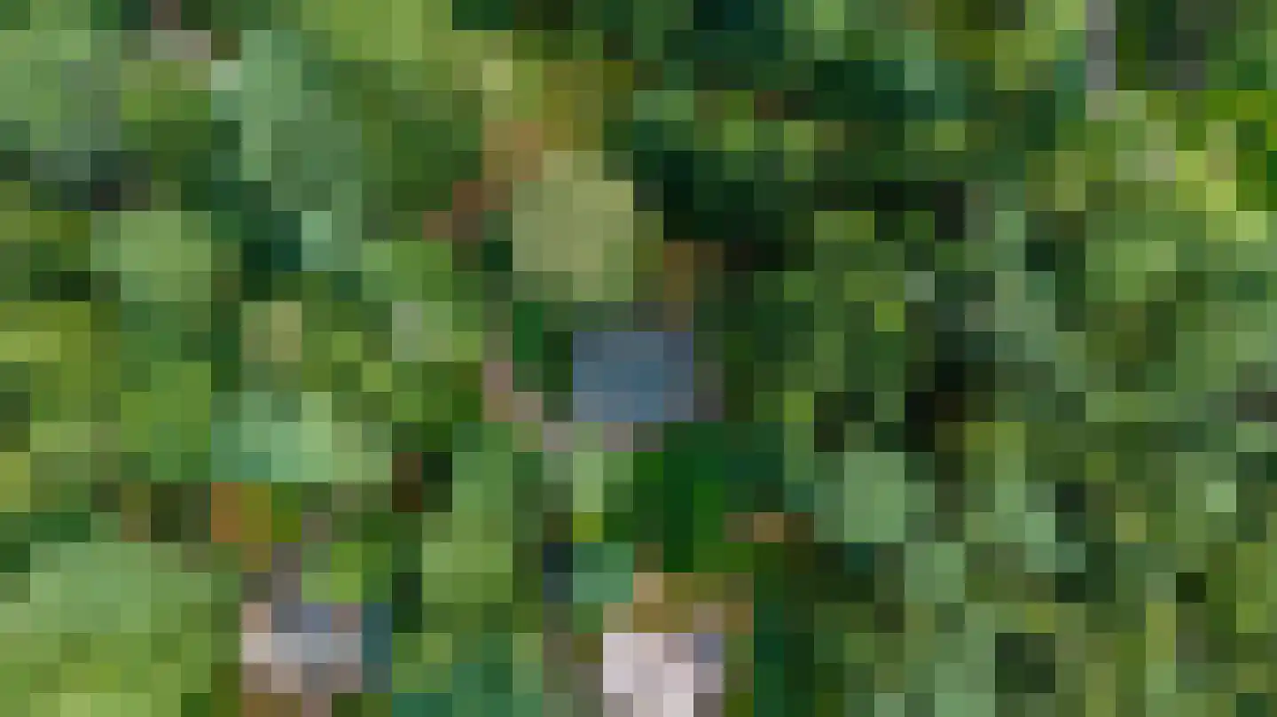 Soerelseweg 18 04 Epe thumbnail 26