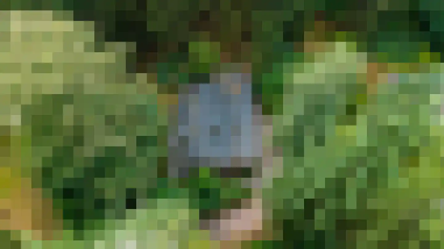 Soerelseweg 18 04 Epe thumbnail 27