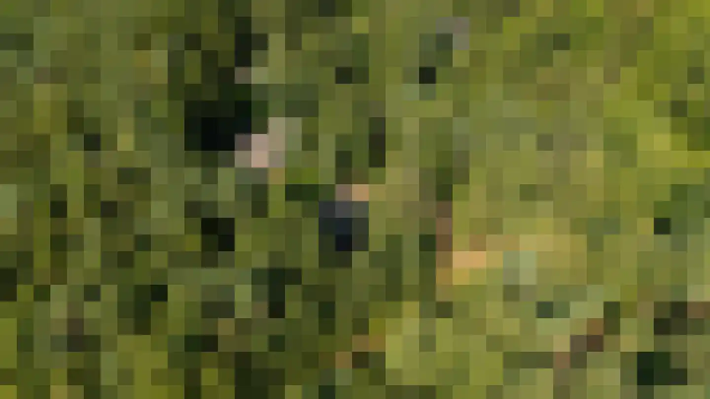 Soerelseweg 18 04 Epe thumbnail 28